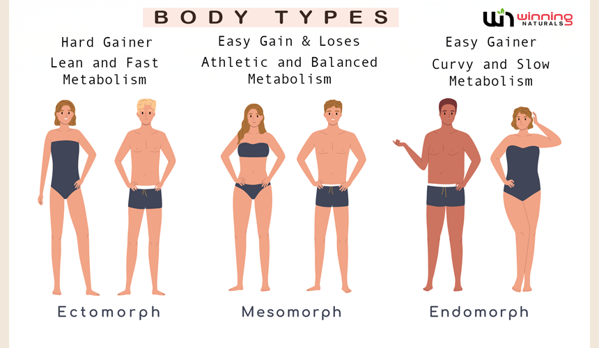 Optimize Your Metabolism for Your Body Type
