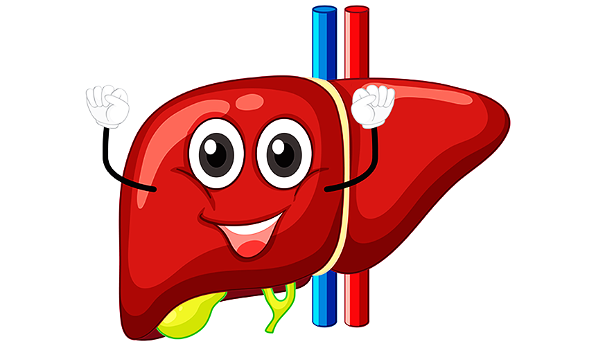 Essential Tips for Healthy Liver Function