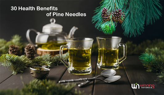 Pine Needles: 30 Benefits and Simple Ways to Use Them