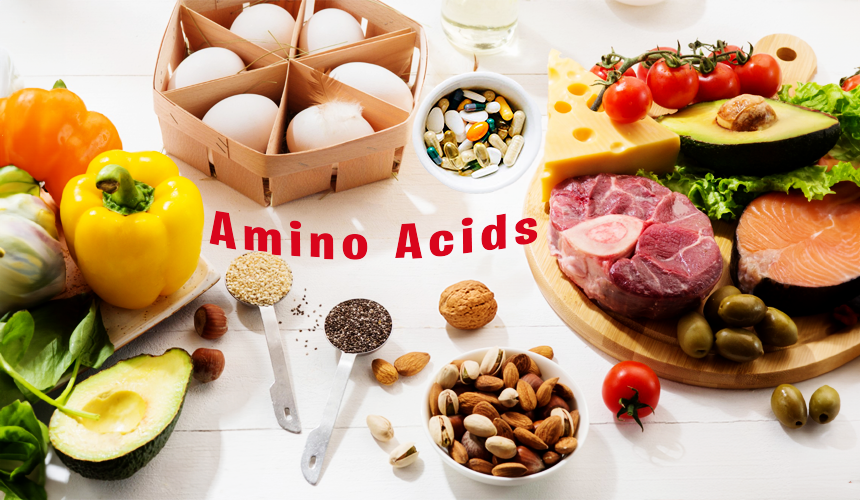 Amino Acids: Essential Building Blocks of Protein