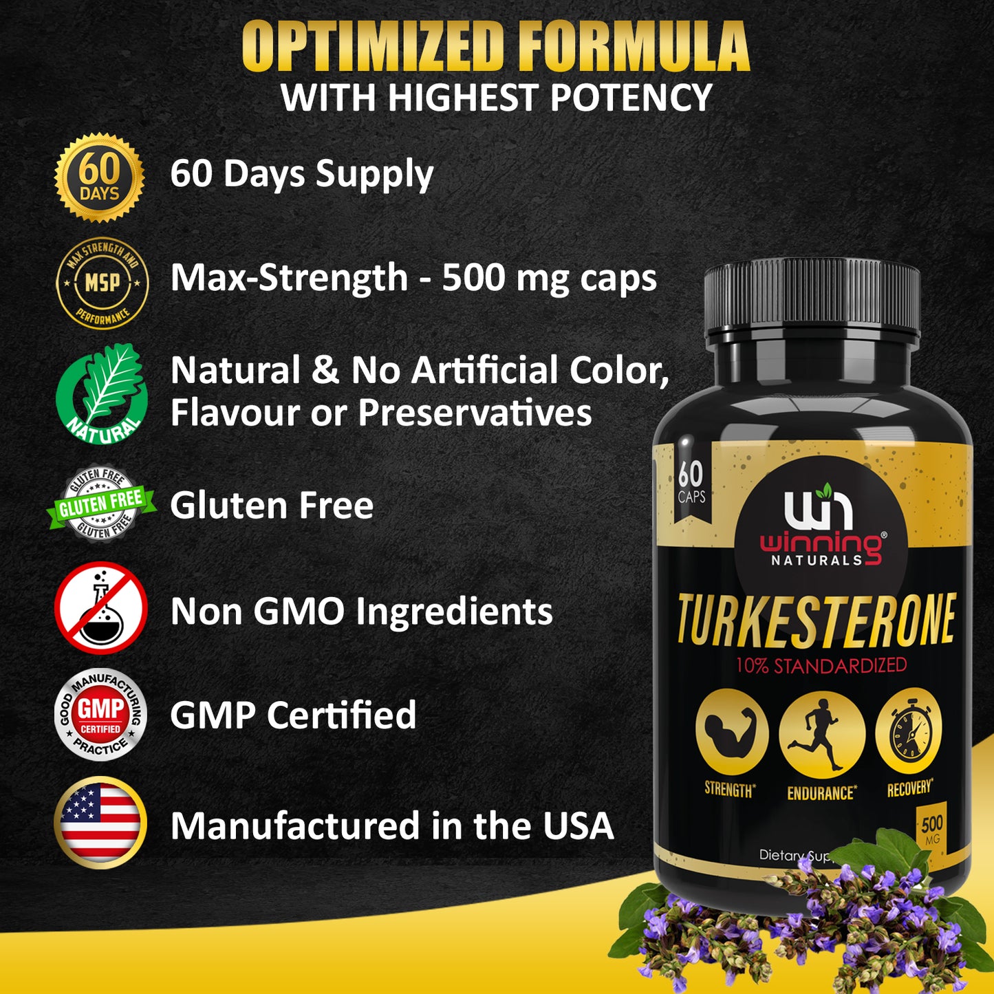 Turkesterone 500 mg - 10% Standardized - 60 Vegan Capsules